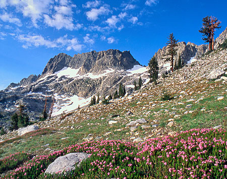 Minarets & Red Mountain Heather