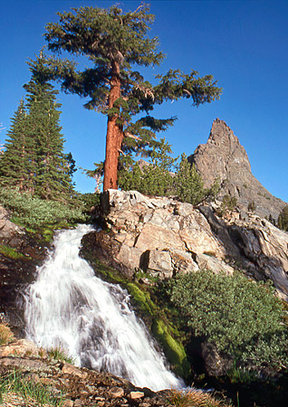 Riegelhuth Minaret Water Cascade