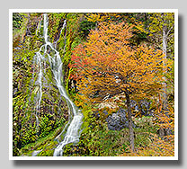 autumn cascade patagonia