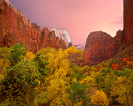 Zion Canyon Colorful Autumn