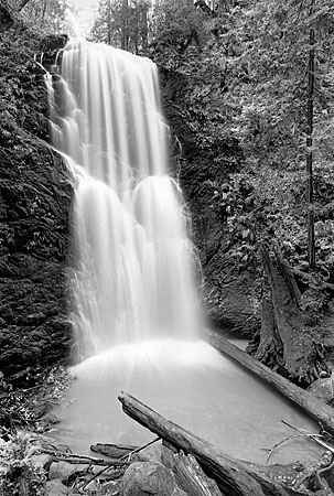 Berry Creek Santa Cruz Mountains