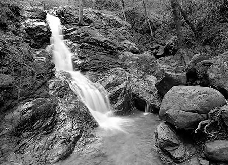 Cascades Waterfall Santa Cruz Mountains