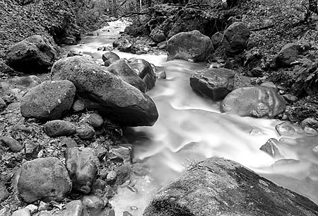 Stones & Sanborn Creek, Santa Cruz Mountains
